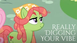 Size: 1920x1080 | Tagged: safe, edit, edited screencap, editor:quoterific, imported from derpibooru, screencap, tree hugger, pony, make new friends but keep discord, season 5, quote, solo