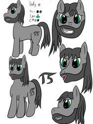 Size: 1500x2000 | Tagged: safe, artist:kickassking, imported from derpibooru, oc, oc only, oc:perigrim pi, pony, beard, facial hair, pencil drawing, simple background, solo, traditional art, transparent background