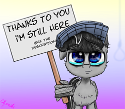 Size: 1250x1086 | Tagged: safe, artist:chopsticks, imported from derpibooru, oc, oc only, oc:chopsticks, pegasus, pony, cheek fluff, chest fluff, cute, ear fluff, feels, hat, heartwarming, looking at you, male, noose, ocbetes, sign, solo, teary eyes, text, wholesome, wing hands, wings