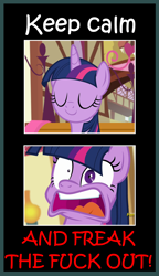 Size: 1511x2626 | Tagged: safe, edit, edited screencap, imported from derpibooru, screencap, twilight sparkle, alicorn, pony, party pooped, freakout, keep calm and carry on, meme, solo, twilight sparkle (alicorn), vulgar