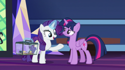 Size: 1920x1080 | Tagged: safe, imported from derpibooru, screencap, rarity, twilight sparkle, alicorn, spider, star spider, the last problem, library, twilight sparkle (alicorn), twilight's castle, twilight's castle library