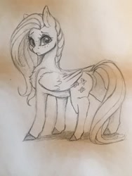 Size: 768x1024 | Tagged: safe, artist:miokomata, imported from derpibooru, fluttershy, pegasus, pony, butt, cute, female, freckles, freckleshy, looking at you, mare, monochrome, pencil drawing, plot, shyabetes, solo, traditional art