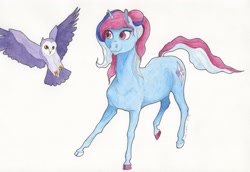 Size: 3007x2073 | Tagged: safe, artist:lady-limule, imported from derpibooru, oc, oc only, bird, earth pony, owl, pony, colored hooves, earth pony oc, female, flying, mare, smiling, traditional art
