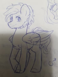 Size: 720x960 | Tagged: safe, artist:silentwolf-oficial, imported from derpibooru, oc, oc only, pegasus, pony, chest fluff, grayscale, lineart, male, monochrome, pegasus oc, raised hoof, solo, stallion, traditional art, wings