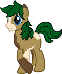 Size: 4033x4817 | Tagged: safe, artist:antone-t62newo, artist:tales-fables, imported from derpibooru, oc, oc only, oc:swift shade, earth pony, pony, absurd resolution, male, simple background, solo, stallion, transparent background