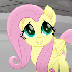 Size: 1080x1080 | Tagged: safe, imported from derpibooru, screencap, fluttershy, pegasus, pony, rainbow roadtrip, cropped, cute, female, mare, shyabetes, solo