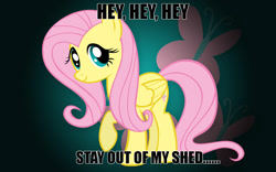 Size: 1280x800 | Tagged: safe, imported from derpibooru, fluttershy, pony, .mov, shed.mov, adoracreepy, caption, creepy, cute, cutie mark background, fat albert and the cosby kids, hey hey hey, looking at you, meme, one hoof raised, raised hoof, reference, shyabetes, smiling, solo, stay out of my shed, text
