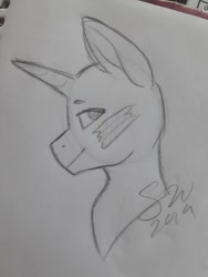 Size: 720x960 | Tagged: safe, artist:silentwolf-oficial, imported from derpibooru, oc, oc only, pony, bald, bust, lineart, signature, solo, traditional art