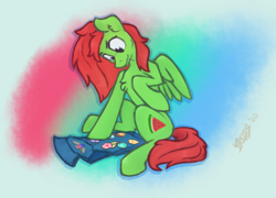 Size: 2048x1472 | Tagged: safe, artist:irdes, imported from derpibooru, oc, oc only, oc:watermelon frenzy, pegasus, denim jacket, male, patch, patches, stitching, wings