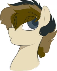 Size: 1183x1460 | Tagged: safe, artist:crimmharmony, imported from derpibooru, oc, oc only, oc:115, pony, bust, eye clipping through hair, eyebrows, eyebrows visible through hair, male, simple background, solo, stallion, white background