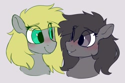 Size: 1872x1236 | Tagged: safe, artist:crimmharmony, imported from derpibooru, oc, oc only, pony, blushing, bust, chest fluff, duo, eye clipping through hair, eyebrows, eyebrows visible through hair, female, lesbian, looking at each other, shipping, simple background, smiling, white background