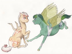 Size: 2900x2161 | Tagged: safe, artist:lady-limule, imported from derpibooru, oc, oc only, oc:chicken wings, pegasus, pony, bandage, pegasus oc, traditional art, wings