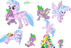 Size: 6399x4288 | Tagged: safe, edit, imported from derpibooru, silverstream, spike, dragon, hippogriff, female, gem, looking at you, male, shipping, simple background, spikestream, straight, stuffed, stuffed belly, vector, white background, winged spike, wings