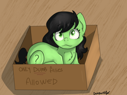 Size: 4000x3001 | Tagged: safe, oc, oc only, oc:filly anon, earth pony, pony, behaving like a cat, box, female, filly, pony in a box, solo