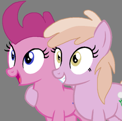 Size: 629x621 | Tagged: safe, artist:exterminator2003, artist:kingbases, cranberry pit, rosy posy, earth pony, pony, base used, cranberryposy, cutie mark, excited, female, gray background, grin, happy, lesbian, mare, ms paint, older, older cranberry pit, older rosy posy, shipping, siblings, simple background, sisters, smiling, twins