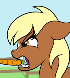 Size: 1088x1204 | Tagged: safe, artist:evan555alpha, edit, earth pony, pony, angry, carrot, cropped, food, sideways glance, solo, verity