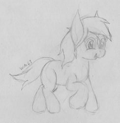 Size: 2024x2072 | Tagged: artist needed, safe, artist:wapamario63, earth pony, pony, /mlp/, happy, signature, sketch, smiling, solo, traditional art, verity, walking