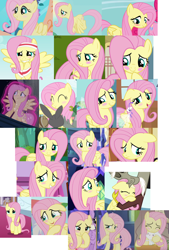 Size: 952x1408 | Tagged: safe, imported from derpibooru, screencap, angel bunny, cotton (g4), discord, fluttershy, pinkie pie, twilight sparkle, breezie, pegasus, between dark and dawn, castle mane-ia, dragonshy, filli vanilli, flutter brutter, hurricane fluttershy, it ain't easy being breezies, keep calm and flutter on, maud pie (episode), scare master, she talks to angel, she's all yak, suited for success, the beginning of the end, the last laugh, the ticket master, to where and back again, blush sticker, blushing, collage, cute, floppy ears, hug, magic, magic aura, shyabetes, unnamed breezie, unnamed character