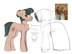 Size: 2048x1536 | Tagged: safe, artist:spoopygander, imported from derpibooru, oc, oc only, oc:hexacomb, earth pony, pony, beekeeper, chest fluff, clothes, female, floppy ears, mare, reference sheet, robe