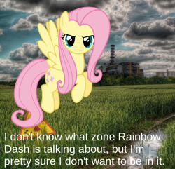 Size: 735x709 | Tagged: safe, artist:xpesifeindx, edit, imported from ponybooru, fluttershy, pegasus, pony, buckball season, chernobyl, female, mare, pun, stalker, the zone