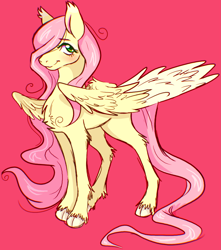 Size: 3221x3651 | Tagged: safe, artist:melodythepuppy, imported from derpibooru, fluttershy, pegasus, pony, chest fluff, cloven hooves, cute, leg fluff, pink background, shyabetes, simple background, solo, unshorn fetlocks