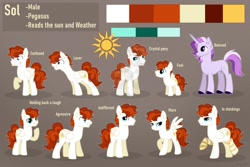 Size: 2304x1536 | Tagged: safe, artist:keyrijgg, imported from derpibooru, oc, oc only, crystal pony, pegasus, pony, unicorn, art, big reference, blushing, brown background, clothes, color palette, comissions, commission, female, foal, male, many posed, reference, reference sheet, simple background, stockings, thigh highs