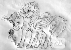 Size: 960x683 | Tagged: safe, artist:silentwolf-oficial, imported from derpibooru, oc, oc only, pegasus, pony, unicorn, chest fluff, duo, flower, glowing horn, grayscale, horn, lineart, magic, monochrome, pegasus oc, rose, telekinesis, traditional art, unicorn oc, watermark, wings