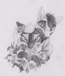 Size: 1937x2283 | Tagged: safe, artist:joestick, imported from derpibooru, oc, oc:arcalia, oc:kass, earth pony, pony, blank flank, coat markings, duo, female, flower, flower in hair, grayscale, male, mare, monochrome, pinto, siblings, socks (coat markings), stallion, traditional art