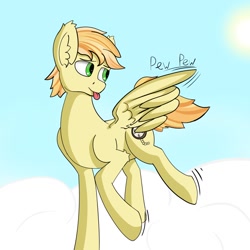 Size: 1500x1500 | Tagged: safe, artist:lightnys, imported from derpibooru, oc, pegasus, male, pegasus oc, wings