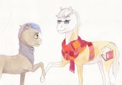 Size: 2956x2065 | Tagged: safe, artist:lady-limule, imported from derpibooru, oc, oc only, oc:almond, earth pony, pony, clothes, earth pony oc, female, glasses, holding hooves, mare, scarf, story included, traditional art