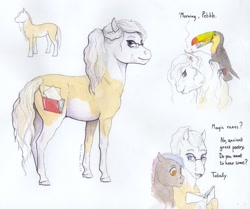 Size: 2000x1674 | Tagged: safe, artist:lady-limule, imported from derpibooru, oc, oc only, oc:almond, bird, earth pony, pony, toucan, earth pony oc, female, glasses, mare, reference sheet, story included, traditional art
