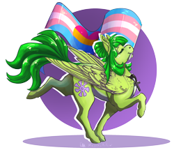 Size: 1974x1701 | Tagged: safe, artist:magnetichollow, imported from derpibooru, oc, oc only, oc:midori kuroba, pegasus, pony, ankh, chest fluff, colored, egyptian, egyptian pony, freckles, pansexual, pride, pride flag, simple background, solo, transgender pride flag, transparent background