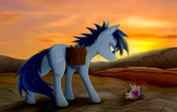 Size: 4724x2999 | Tagged: safe, artist:lth935, imported from derpibooru, oc, oc only, oc:p-21, earth pony, pony, fallout equestria, fallout equestria: project horizons, bag, desert, fanfic art, male, saddle bag, skull, solo, stallion
