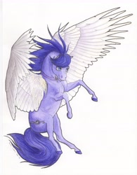 Size: 6611x8477 | Tagged: safe, artist:lady-limule, imported from derpibooru, oc, oc only, oc:vionova, pegasus, pony, colored hooves, female, flying, mare, pegasus oc, rearing, solo, traditional art, wings