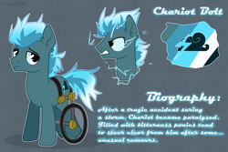 Size: 3000x2000 | Tagged: safe, artist:keyrijgg, imported from derpibooru, earth pony, pony, art, bolt, comissions, commission, disabled, gritted teeth, handicapped, invalid, lightning, reference, reference sheet, wheelchair