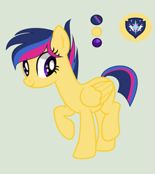 Size: 2309x2597 | Tagged: safe, artist:lominicinfinity, imported from derpibooru, oc, oc:nighty sentry, pegasus, pony, female, mare, offspring, parent:flash sentry, parent:twilight sparkle, parents:flashlight, simple background, solo