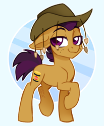 Size: 1605x1947 | Tagged: safe, artist:sickly-sour, imported from derpibooru, oc, oc only, oc:vegemite, earth pony, pony, australia, bruce, colored, colored pupils, cork hat, cutie mark, earth pony oc, freckles, hat, male, simple background, smug, stallion, two toned mane, vegemite