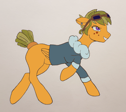 Size: 2301x2052 | Tagged: safe, artist:zosma-art, imported from derpibooru, oc, oc only, oc:vincia nay, pegasus, pony, clothes, female, freckles, glasses, mare, paint tool sai, piercing, short hair, solo, traditional art