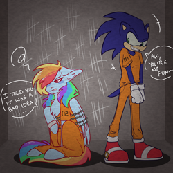 Size: 2062x2062 | Tagged: safe, artist:skye.dragongirl, imported from derpibooru, bound wings, chained, clothes, cuffs, dialogue, duo, prison outfit, prisoner, prisoner rd, sonic the hedgehog, sonic the hedgehog (series), wings