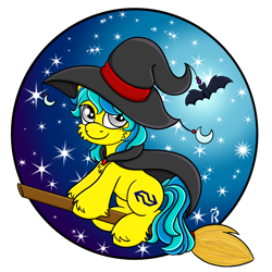 Size: 2000x2000 | Tagged: safe, artist:dawn-designs-art, imported from derpibooru, oc, oc:runaway train, earth pony, pony, blue mane, broom, clothes, commission, commissions open, costume, flying, flying broomstick, hat, male, nightmare night, silver eyes, solo, stallion, witch, witch costume, witch hat, yellow coat
