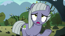 Size: 1920x1080 | Tagged: safe, imported from derpibooru, screencap, limestone pie, earth pony, pony, the maud couple, female, frown, looking up, mare, rock farm, solo, tree