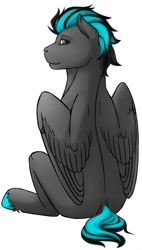 Size: 727x1280 | Tagged: safe, artist:imreer, imported from derpibooru, oc, oc only, pegasus, pony, colored hooves, looking back, male, pegasus oc, simple background, sitting, solo, stallion, unshorn fetlocks, white background, wings