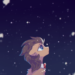 Size: 2000x2000 | Tagged: safe, artist:mirtash, imported from derpibooru, doctor whooves, time turner, earth pony, pony, high res, looking up, male, snow, solo