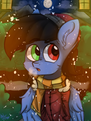 Size: 1200x1600 | Tagged: safe, artist:mjsw, imported from derpibooru, oc, oc only, oc:glorious shark, pegasus, pony, clothes, commission, forest, heterochromia, male, snow, snowfall, solo, stallion, winter