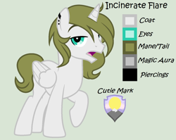 Size: 1406x1120 | Tagged: safe, artist:lominicinfinity, imported from derpibooru, oc, oc only, oc:incinerate flare, alicorn, pony, male, reference sheet, simple background, solo, stallion