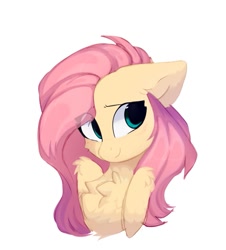 Size: 971x1076 | Tagged: safe, artist:little-sketches, artist:php146, imported from derpibooru, fluttershy, pegasus, pony, bust, chest fluff, cute, female, mare, portrait, shyabetes, simple background, solo, white background