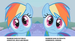 Size: 938x547 | Tagged: safe, edit, edited screencap, imported from derpibooru, screencap, rainbow dash, pegasus, pony, dragonshy, breaking the fourth wall, cropped, cute, dashabetes, female, frown, looking at you, mare, reaction image, smiling, solo, stare, wide eyes