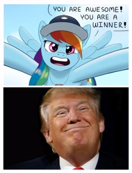 Size: 3106x4096 | Tagged: safe, artist:nagoluckyart, edit, imported from derpibooru, rainbow dash, pegasus, pony, blatant lies, donald trump, female, looking at you, mare, open mouth, outstretched arms, politics, solo, spread wings, talking to viewer, wings