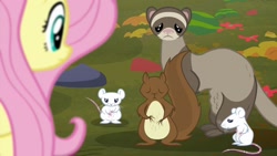 Size: 1280x720 | Tagged: safe, imported from derpibooru, screencap, fluttershy, ferret, mouse, squirrel, the hooffields and mccolts, animal, hungry, sad, starving, stomach growl, stomach noise, worried