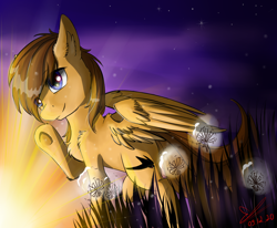 Size: 1040x859 | Tagged: safe, artist:yuris, imported from derpibooru, oc, oc only, oc:sharpwing, pegasus, pony, field, solo, sunset